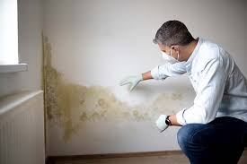 Asbestos and Lead Testing During Mold Inspection in Mattawan, MI